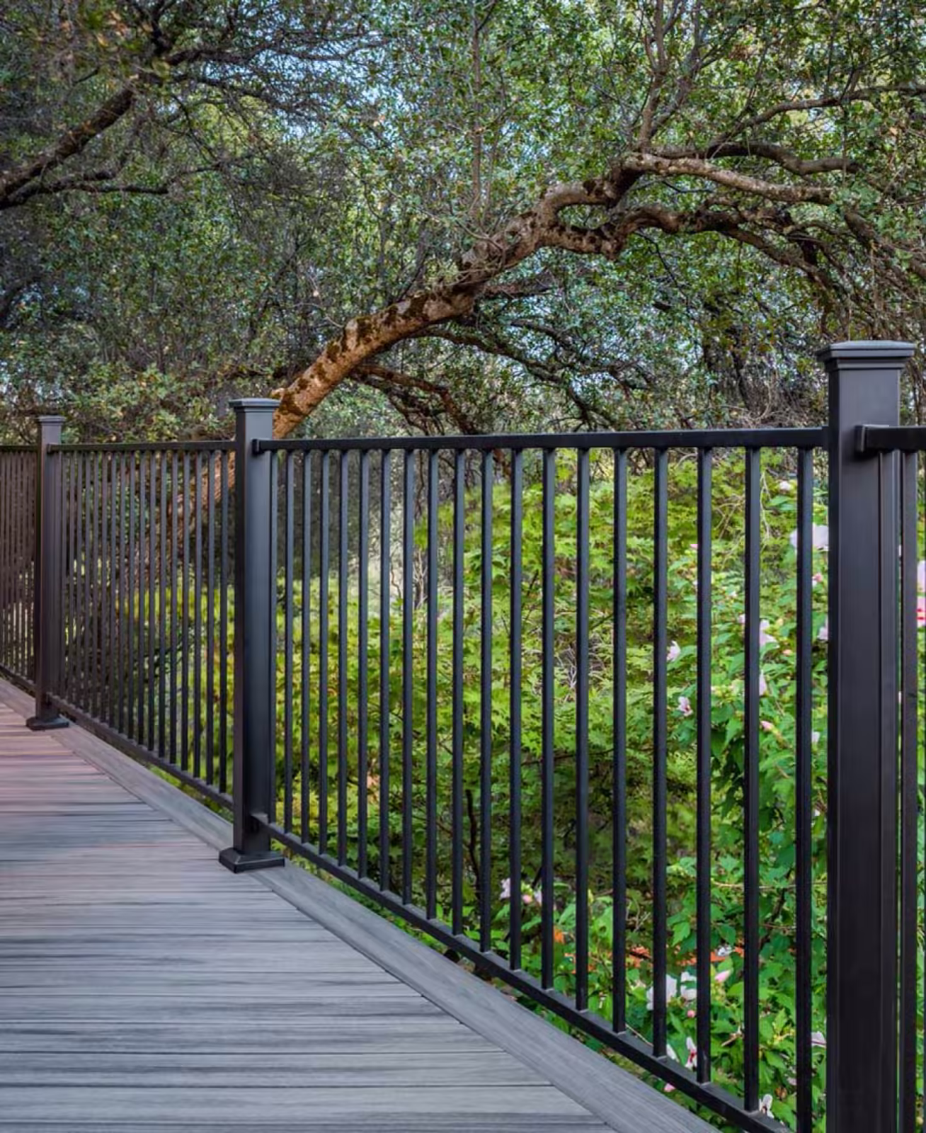 Black aluminium deck railing running along a grey composite deck under a spreading oak tree